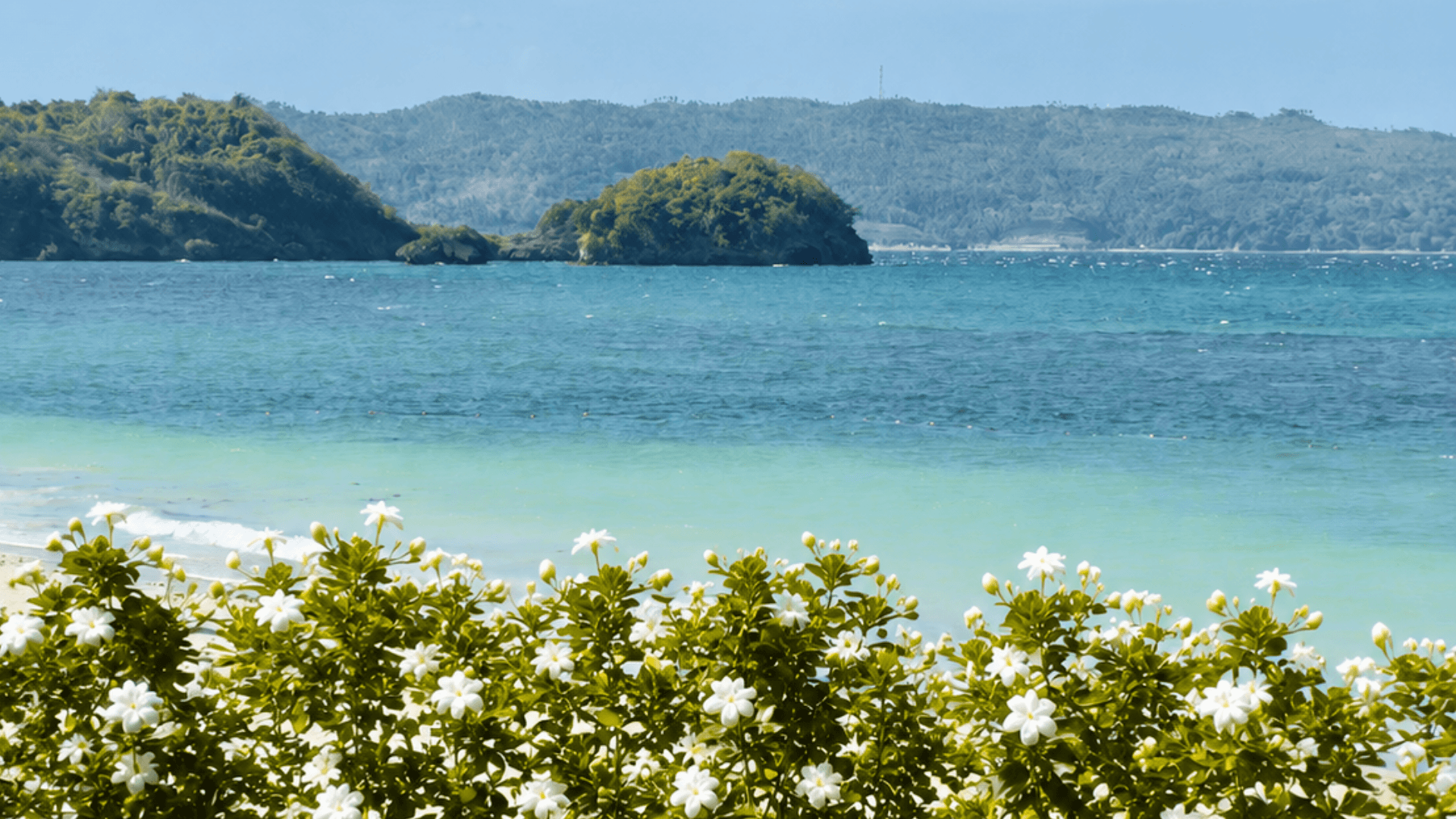 Boracay_Newcoast_E_Banner_1 (3)